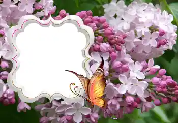 범주에서의 사진 효과 여성 프레임 № 114264