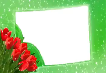 범주에서의 사진 효과 여성 프레임 № 114275