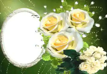 범주에서의 사진 효과 여성 프레임 № 114330