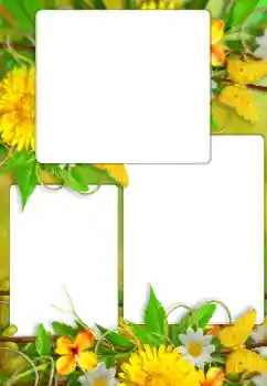 범주에서의 사진 효과 여성 프레임 № 114738 범주에서의 사진 효과 여성 프레임 № 114738