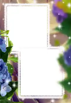 범주에서의 사진 효과 여성 프레임 № 116123