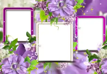 범주에서의 사진 효과 여성 프레임 № 116124 범주에서의 사진 효과 여성 프레임 № 116124