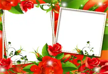 범주에서의 사진 효과 여성 프레임 № 117365