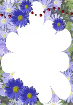 범주에서의 사진 효과 여성 프레임 № 117528