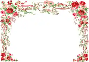 범주에서의 사진 효과 여성 프레임 № 117539