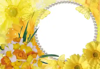 범주에서의 사진 효과 여성 프레임 № 11827