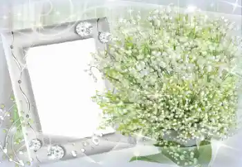 범주에서의 사진 효과 여성 프레임 № 11867