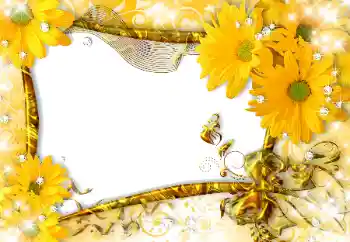 범주에서의 사진 효과 여성 프레임 № 118916