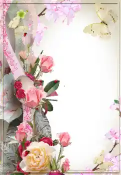 범주에서의 사진 효과 여성 프레임 № 118930