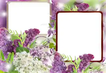 범주에서의 사진 효과 여성 프레임 № 121086