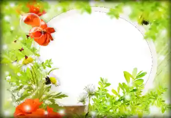 범주에서의 사진 효과 여성 프레임 № 121087