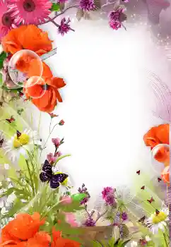 범주에서의 사진 효과 여성 프레임 № 121098