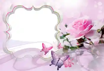 범주에서의 사진 효과 여성 프레임 № 121128