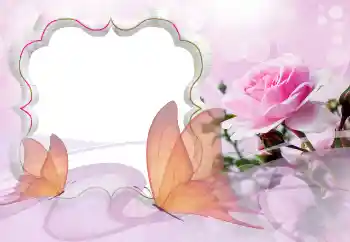 범주에서의 사진 효과 여성 프레임 № 121129