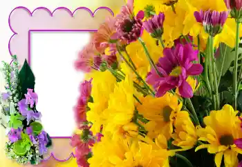 범주에서의 사진 효과 여성 프레임 № 121140