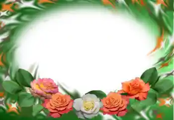 범주에서의 사진 효과 여성 프레임 № 121155