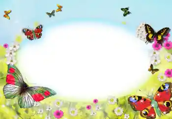 범주에서의 사진 효과 여성 프레임 № 123207