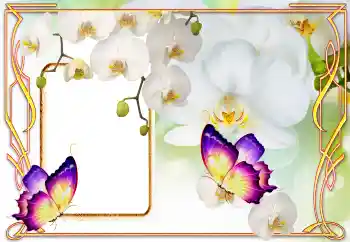 범주에서의 사진 효과 여성 프레임 № 123218