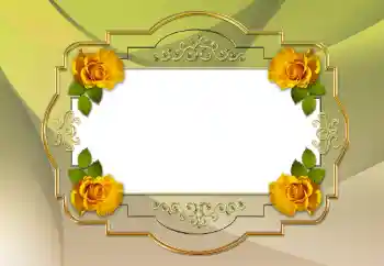 범주에서의 사진 효과 여성 프레임 № 123223