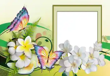 범주에서의 사진 효과 여성 프레임 № 123226