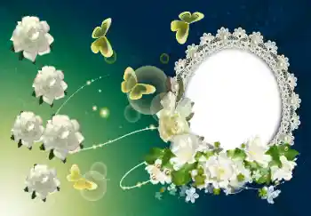 범주에서의 사진 효과 여성 프레임 № 123258