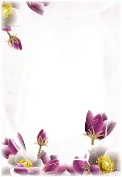 범주에서의 사진 효과 여성 프레임 № 124368 범주에서의 사진 효과 여성 프레임 № 124368