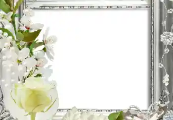 범주에서의 사진 효과 여성 프레임 № 124413