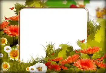 범주에서의 사진 효과 여성 프레임 № 125650