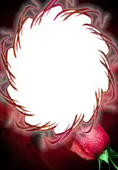 범주에서의 사진 효과 여성 프레임 № 125687