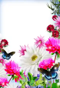 범주에서의 사진 효과 여성 프레임 № 125845