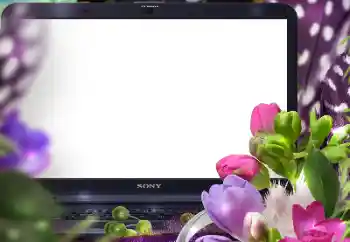 범주에서의 사진 효과 여성 프레임 № 125847