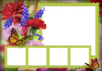 범주에서의 사진 효과 여성 프레임 № 125850