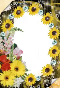 범주에서의 사진 효과 여성 프레임 № 125921