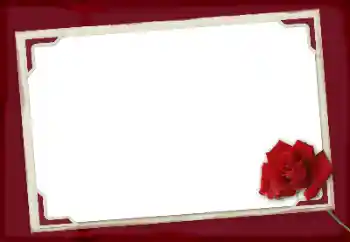 범주에서의 사진 효과 여성 프레임 № 125924