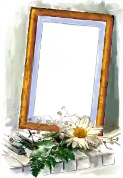 범주에서의 사진 효과 여성 프레임 № 125925