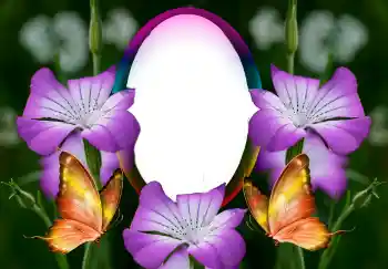 범주에서의 사진 효과 여성 프레임 № 126946