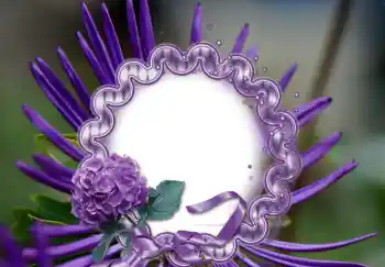 범주에서의 사진 효과 여성 프레임 № 126947