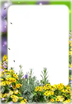 범주에서의 사진 효과 여성 프레임 № 127113