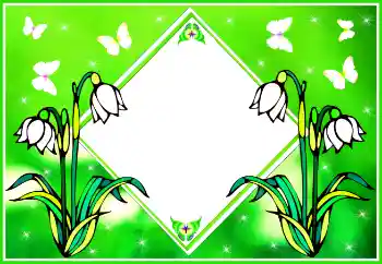 범주에서의 사진 효과 여성 프레임 № 127170