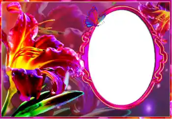 범주에서의 사진 효과 여성 프레임 № 127185