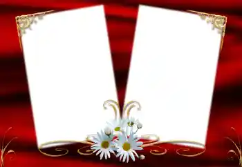 범주에서의 사진 효과 여성 프레임 № 127215