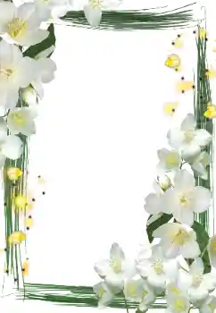 범주에서의 사진 효과 여성 프레임 № 127290 범주에서의 사진 효과 여성 프레임 № 127290