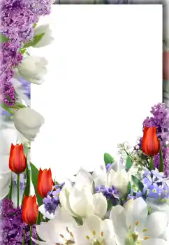 범주에서의 사진 효과 여성 프레임 № 127300 범주에서의 사진 효과 여성 프레임 № 127300