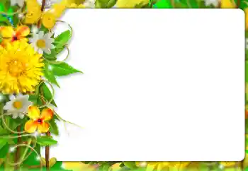 범주에서의 사진 효과 여성 프레임 № 127303 범주에서의 사진 효과 여성 프레임 № 127303