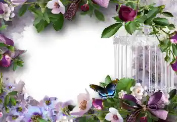 범주에서의 사진 효과 여성 프레임 № 127304 범주에서의 사진 효과 여성 프레임 № 127304