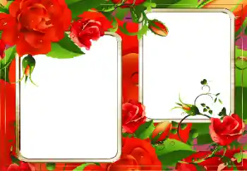 범주에서의 사진 효과 여성 프레임 № 128335