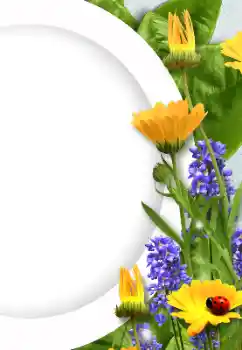 범주에서의 사진 효과 여성 프레임 № 128372