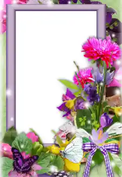 범주에서의 사진 효과 여성 프레임 № 128382