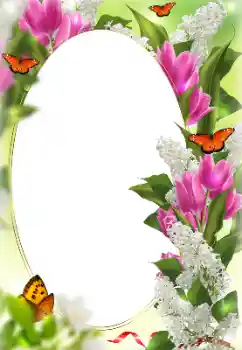 범주에서의 사진 효과 여성 프레임 № 128422 범주에서의 사진 효과 여성 프레임 № 128422