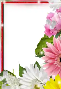 범주에서의 사진 효과 여성 프레임 № 128553 범주에서의 사진 효과 여성 프레임 № 128553